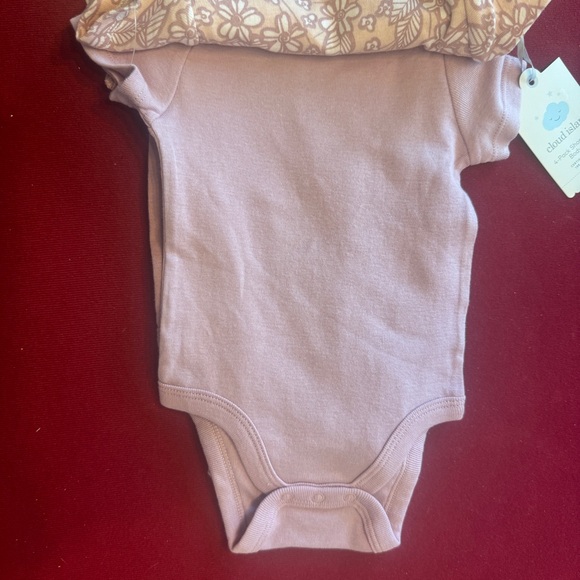 Lot of Various Sizes NWT Girl's Baby Clothes Onesies, Overalls, and Shorts - Picture 13 of 16